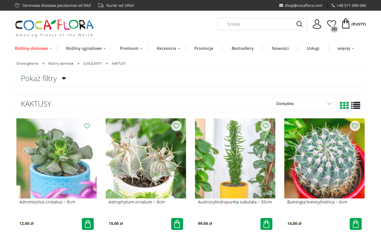 Najpopularniejsze kaktusy doniczkowe - przegląd gatunków