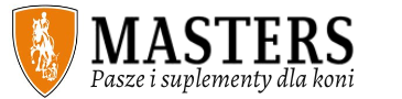 Logo firmy Masters Polska