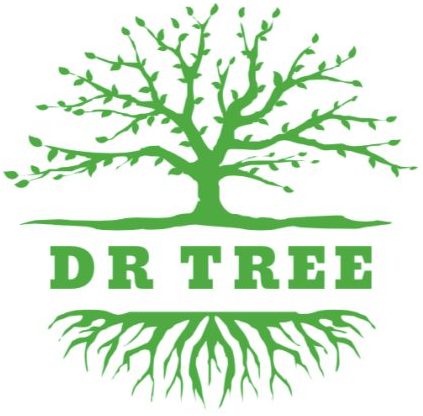 Logo firmy Wycinka, pielęgnacja drzew Kraków | Dr-tree