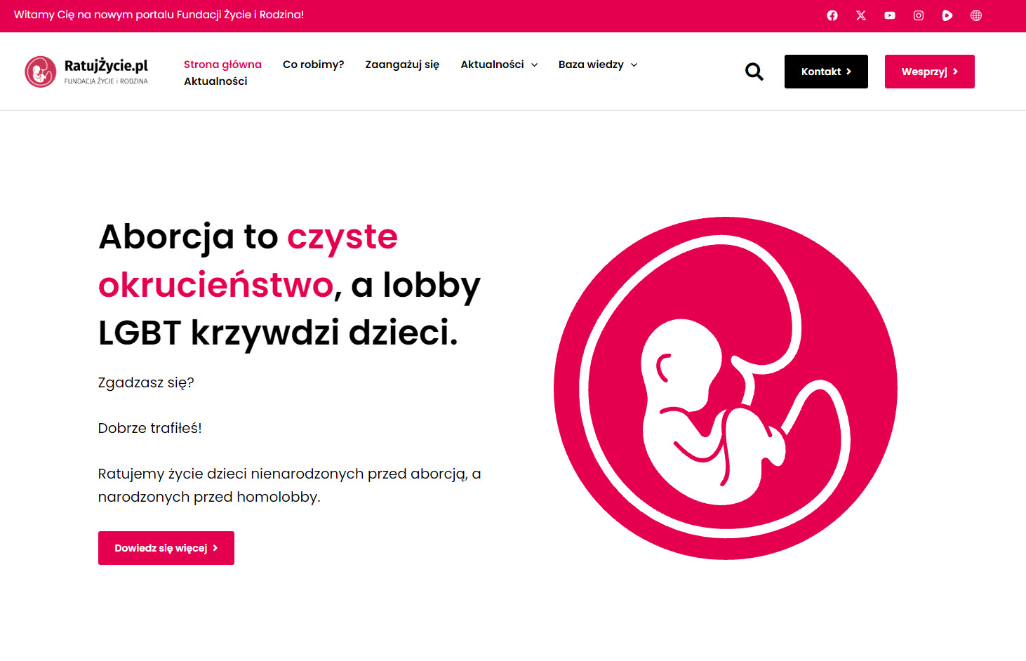 Zmieniająca się rola rodziny we współczesnym społeczeństwie - perspektywa badań i organizacji społecznych